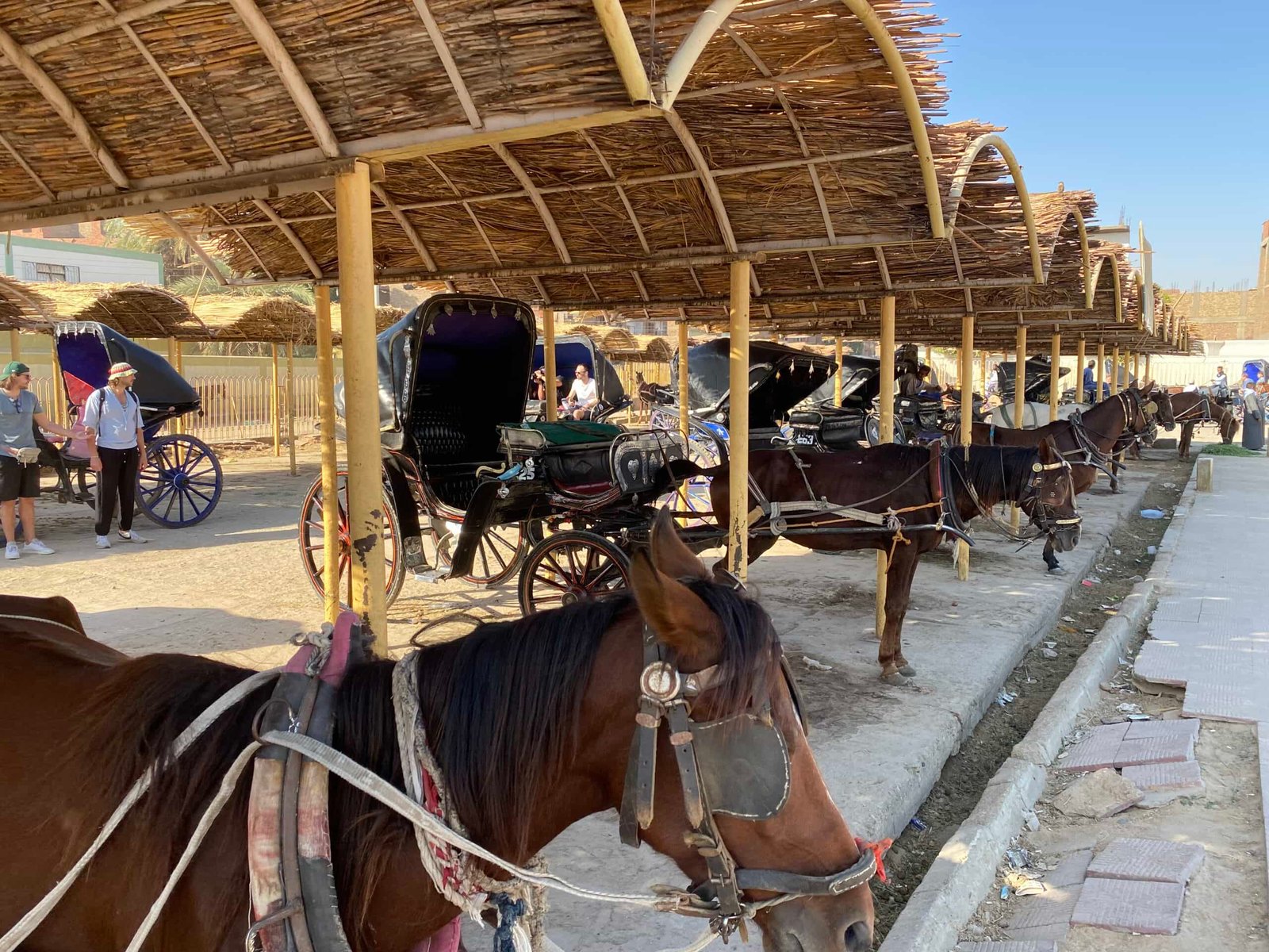 Unforgettable Egypt Budget Tour Cairo to Luxor Nile Cruise Discovery – 8 Days - allroyalegypt