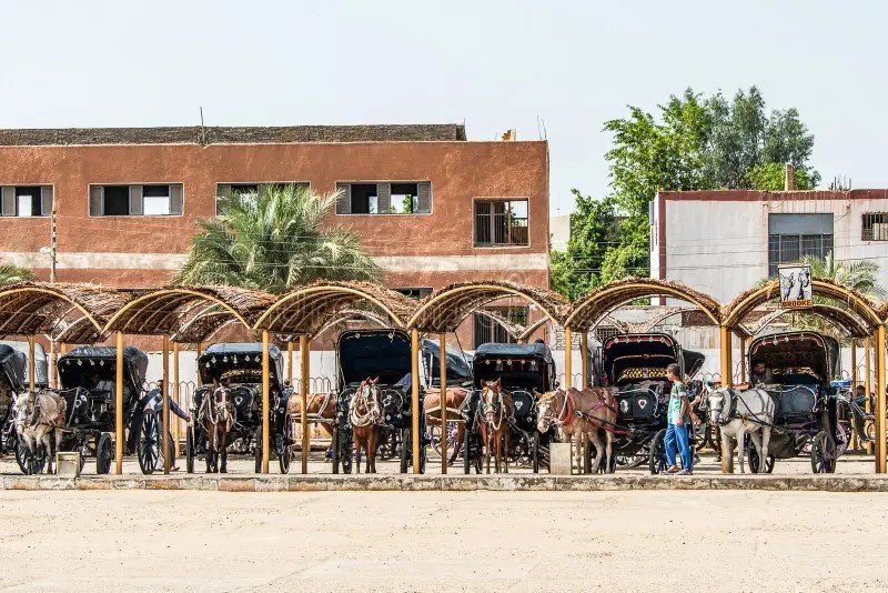 Unforgettable Egypt Budget Tour Cairo to Luxor Nile Cruise Discovery – 8 Days - allroyalegypt