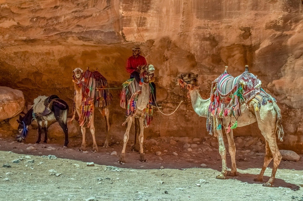 Unforgettable Egypt & Jordan Discovery Journey – 7 Days - allroyalegypt