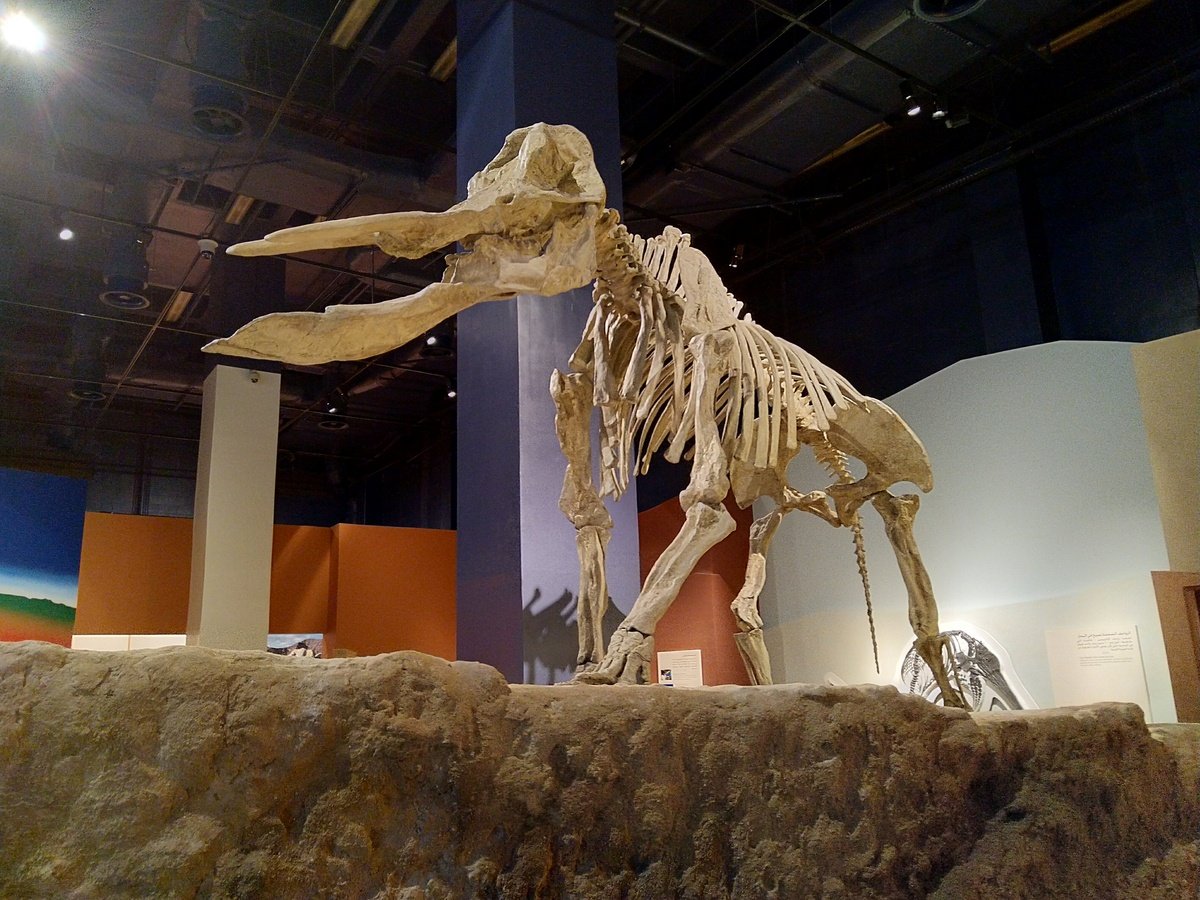 Unforgettable Egypt to Saudi Arabia Grand Journey Nile Cruise, Cairo, Riyadh & AlUla – 13 Days - allroyalegypt