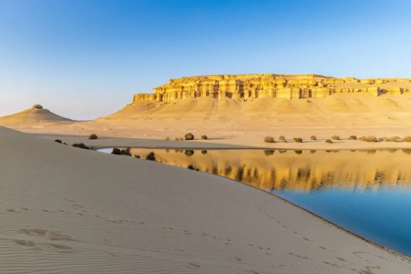 Fayoum Day Trip from Cairo