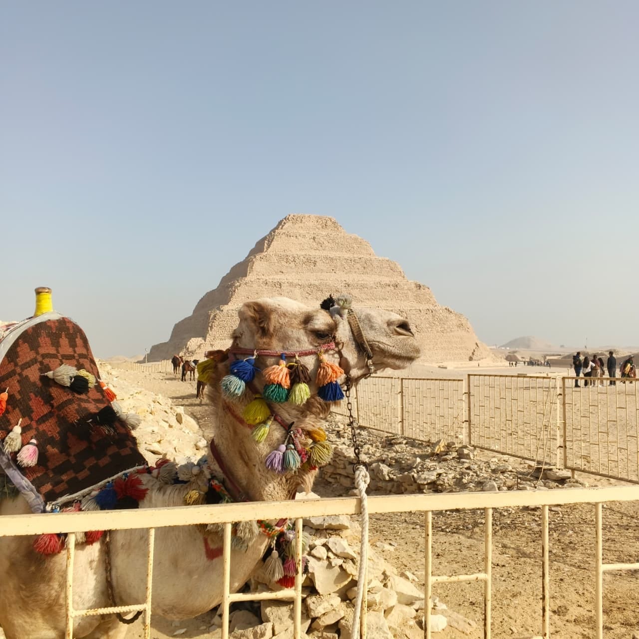 Increíble Tour Saqqara
