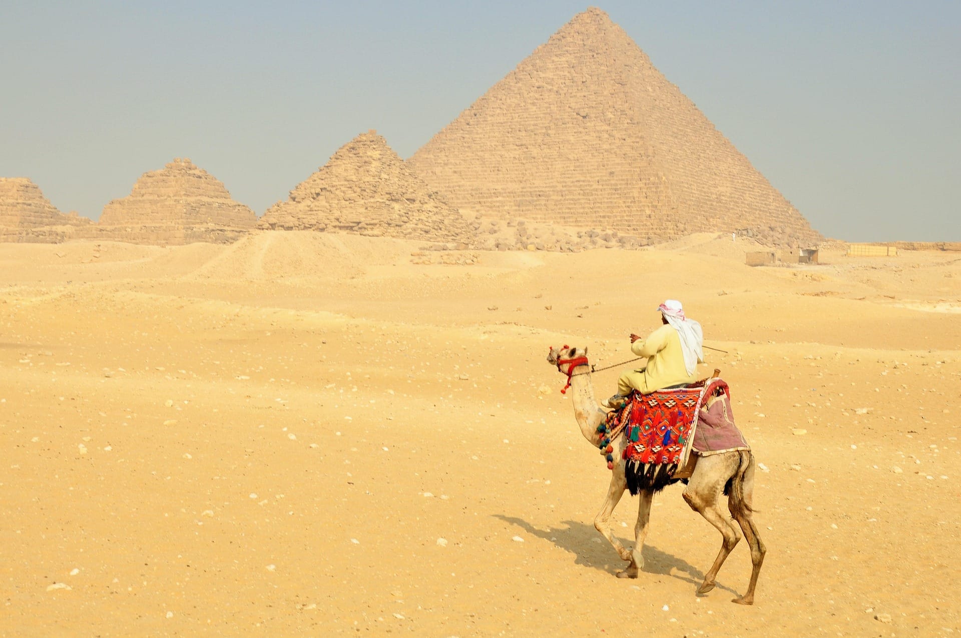 Tour di un giorno alle Piramidi di Giza