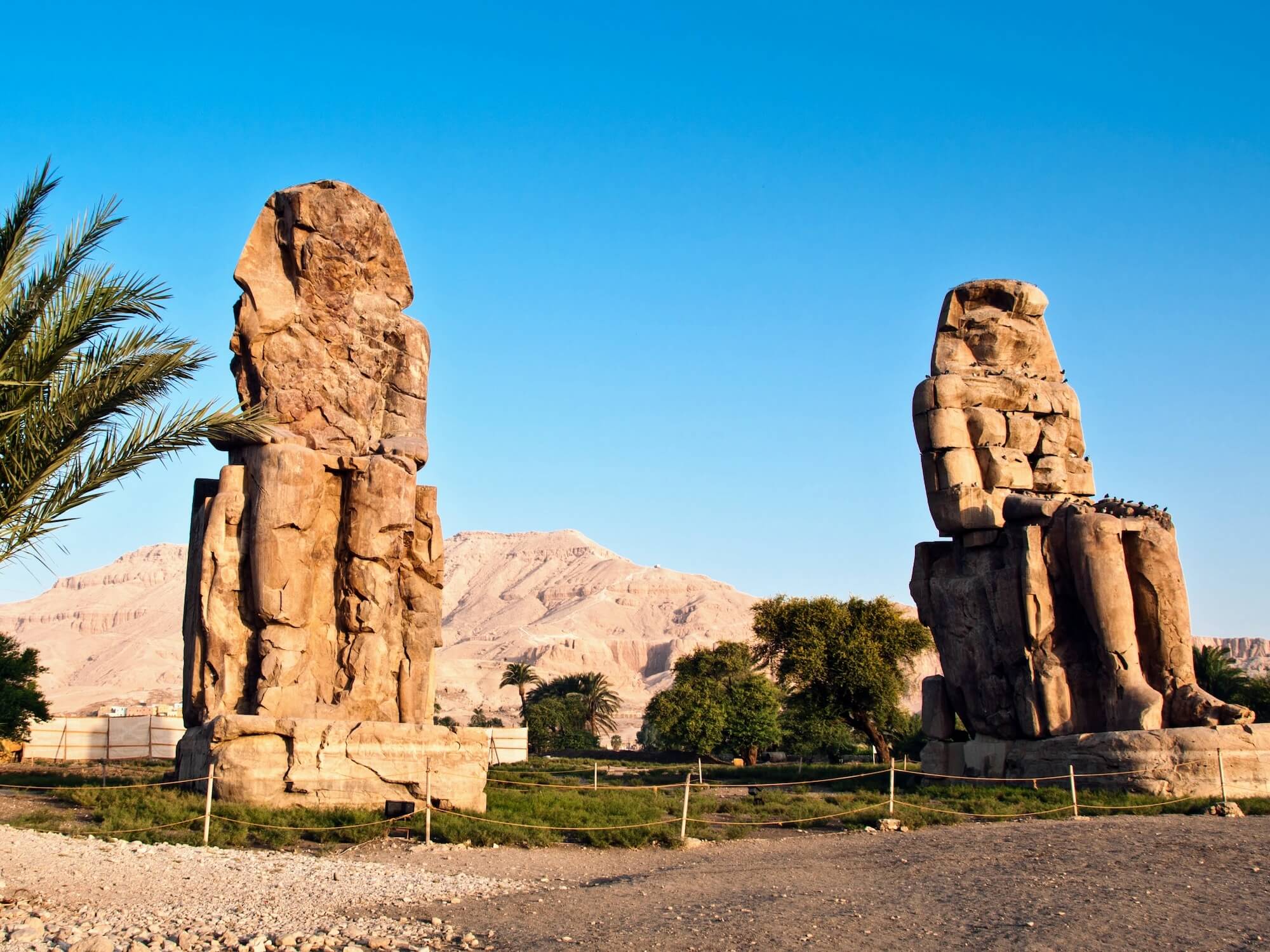 Egypt Tour Packages: Complete 8 Days Cairo, Aswan, Luxor & Nile Cruise